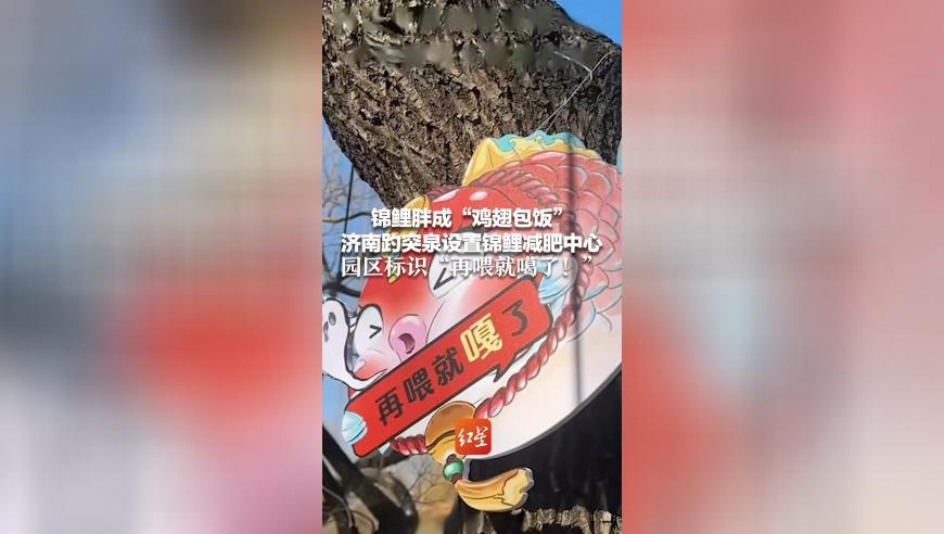 黄大仙免费资料精准大全官网,泡泡龙演上法海转世了,展开解析落实_纪念版V15.12