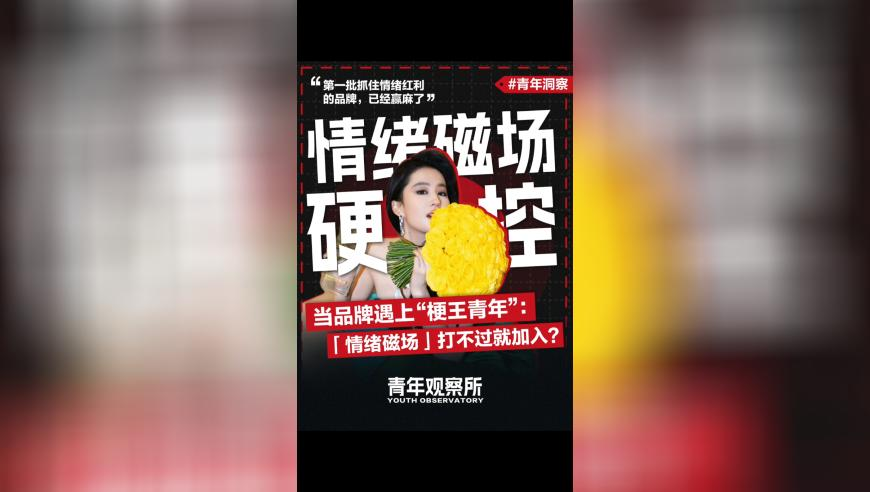 7777788888精准管家婆凤凰网潓泽网,刘敏涛25岁的精神状态20岁的腰,确保成语解释落实的问题_体验版V11.10