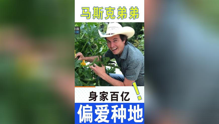 一点红官方网免费资料,北京加大地铁安保警犬投入,决策资料解释落实_AR版V1.46