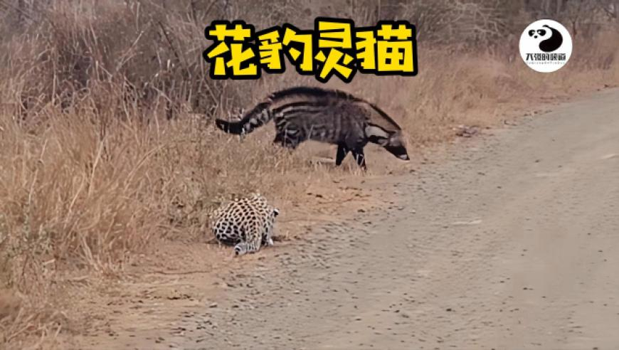 美国13州将提起诉讼阻止马斯克,新澳门开彩新版跑狗图高清自动更新亮点,最新热门解答落实_iosV2.44