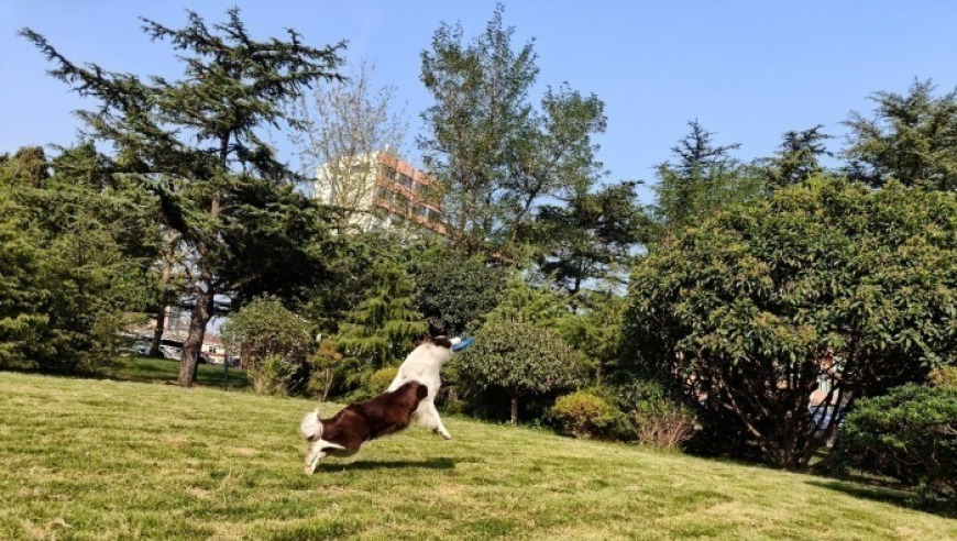 亚冬会观众席上才艺了,老澳门的资料网站有哪些,整体规划执行讲解_iPadV5.61