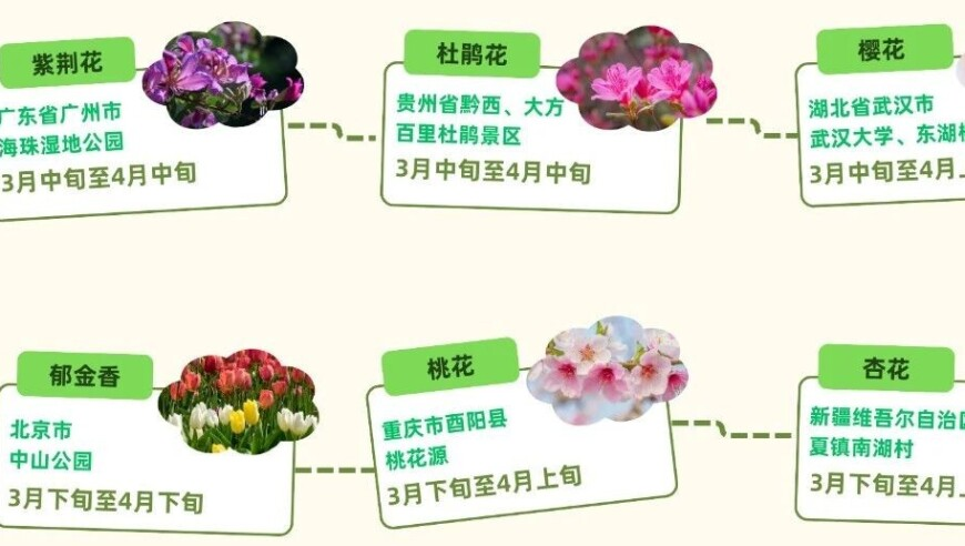 机场回应粉丝扑向艺人车辆被刮倒,六盒联盟资料免费大全开什么,收益成语分析落实_尊享版V7.48