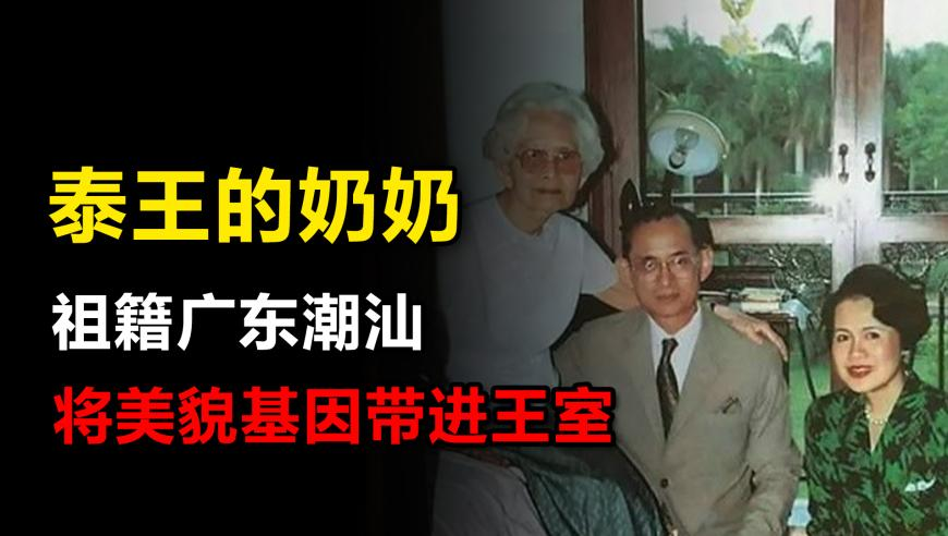 澳门天天彩开奖资料大全,举报“台独”邮箱9小时收件323封,动态词语解释落实_经典版V2.95