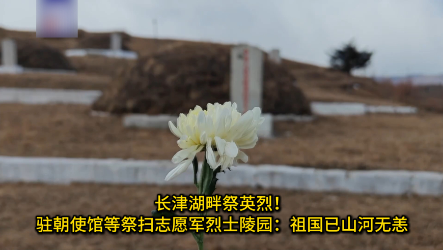 新澳门六开资料大全,最高法谈卖羊肉获利180被罚10万,国产化作答解释落实_基础版V7.64