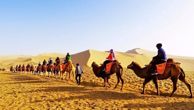 五一现丝绸之路，万人骆驼队太壮观，网友：起猛了，以为张骞带队